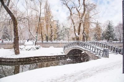 Прикрепленное изображение: IMG_7545.jpg